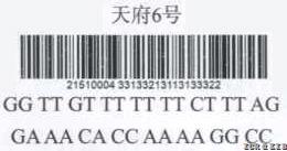 拼图片16102-Untitled.FR12-481_Untitled.FR12-482_Untitled.FR12-483